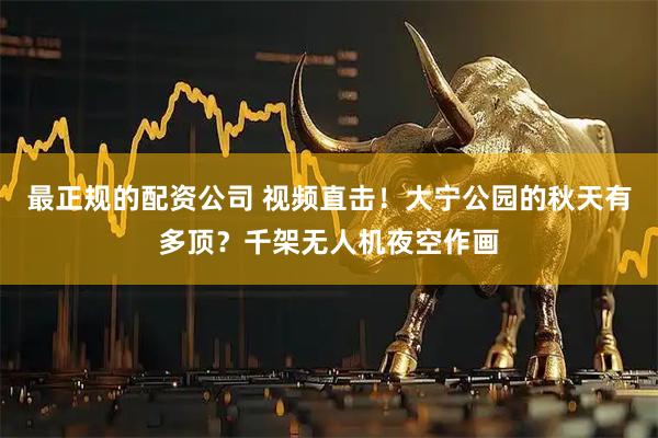 最正规的配资公司 视频直击！大宁公园的秋天有多顶？千架无人机夜空作画