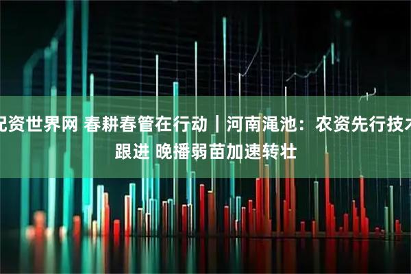 配资世界网 春耕春管在行动｜河南渑池：农资先行技术跟进 晚播弱苗加速转壮